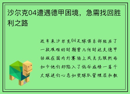 沙尔克04遭遇德甲困境，急需找回胜利之路
